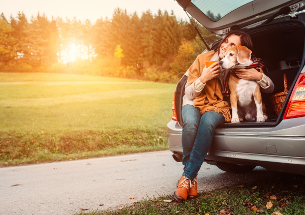 - Радио Romantika  - Радио Romantika